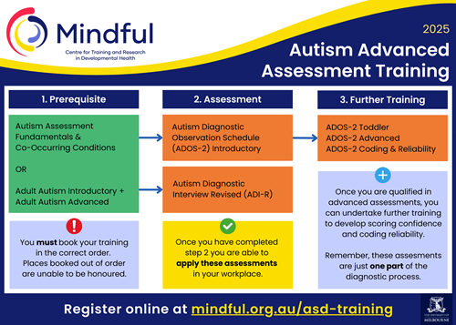 2025-Mindful-Advanced-assessment-process.png